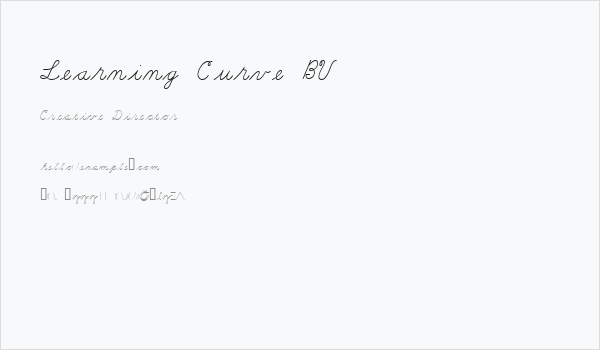 Learning Curve BV Business Card