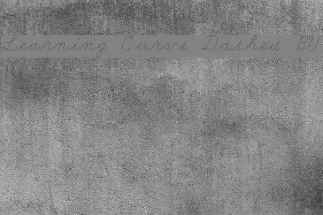 Learning Curve Dashed BV Fuentes examples