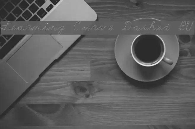 Learning Curve Dashed BV Fuentes examples