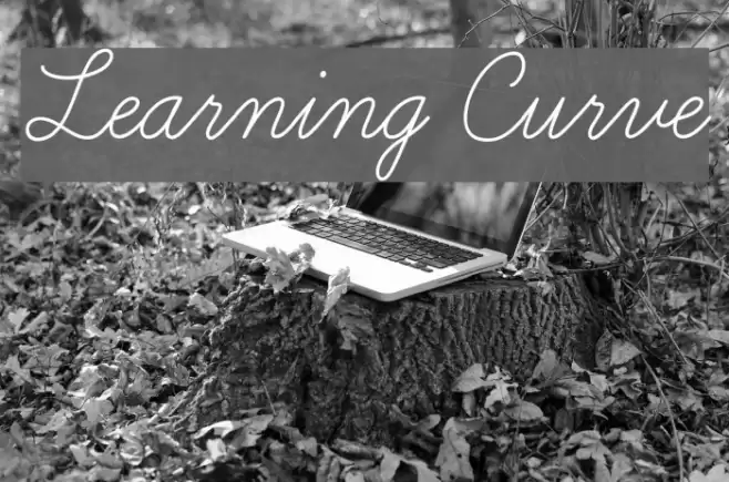 Learning Curve Font examples