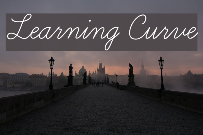 Learning Curve Font examples