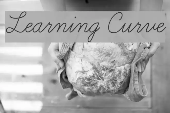 Learning Curve Font examples