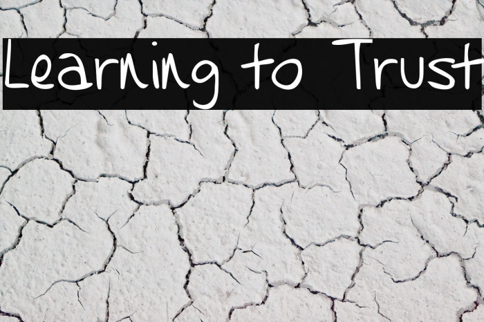 Learning to Trust Font examples