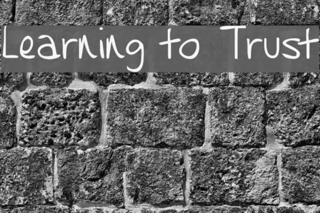 Learning to Trust Font examples