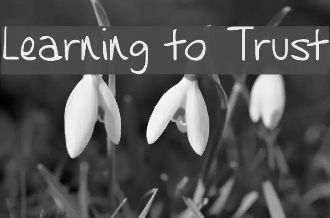 Learning to Trust Font examples