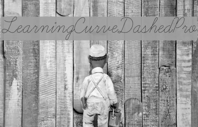 LearningCurveDashedPro Example 1