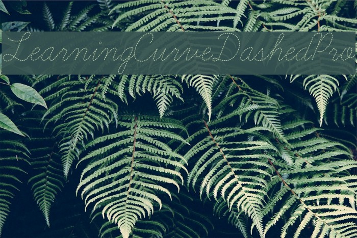 LearningCurveDashedPro Font examples