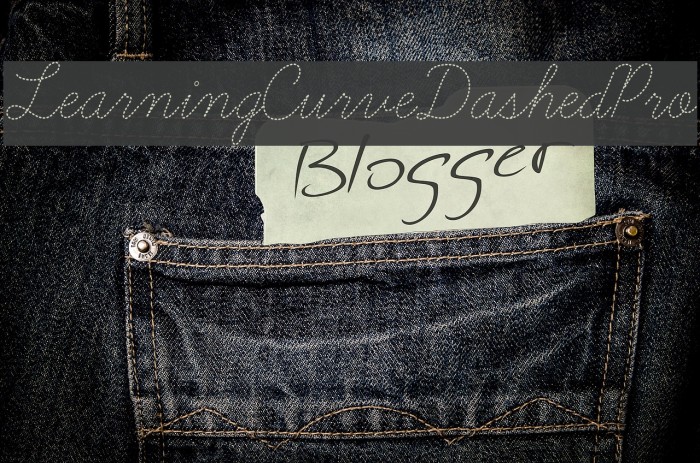 LearningCurveDashedPro Font examples
