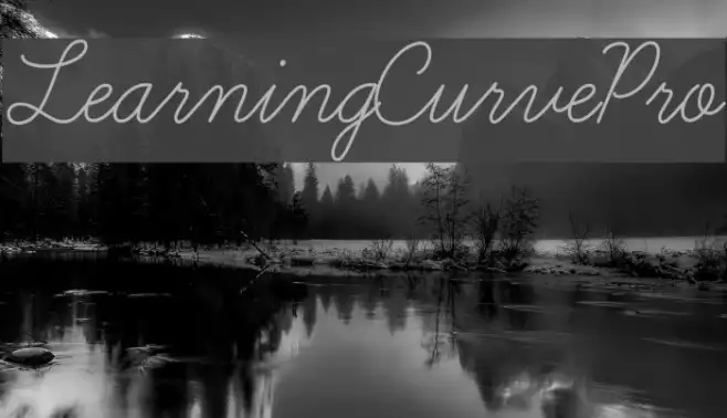 LearningCurvePro Example 1