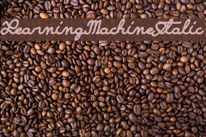 LearningMachineItalic Font examples