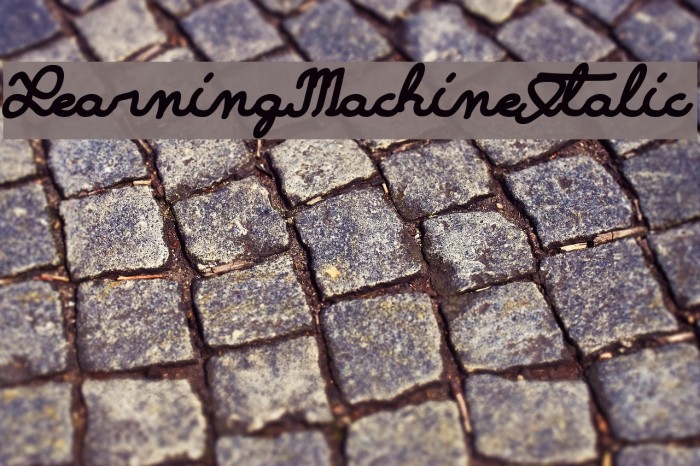 LearningMachineItalic Font examples