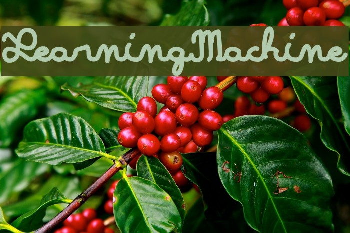 LearningMachine Example 1