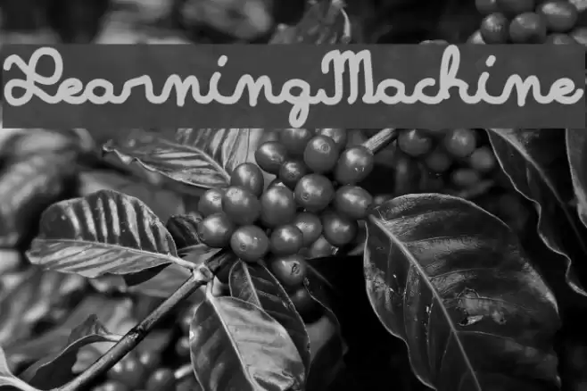 LearningMachine Font examples