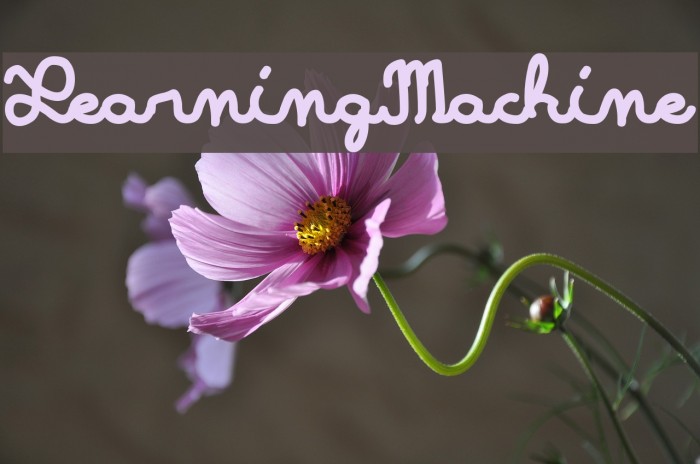 LearningMachine Example 2