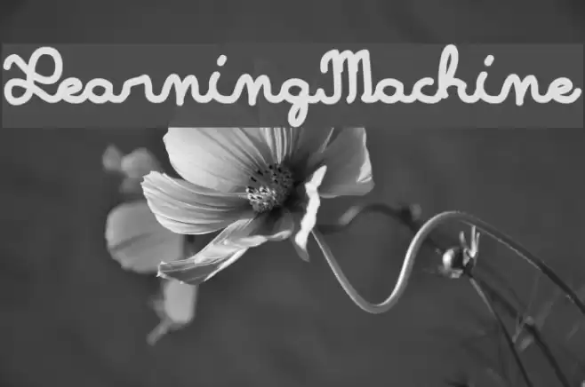LearningMachine Font examples