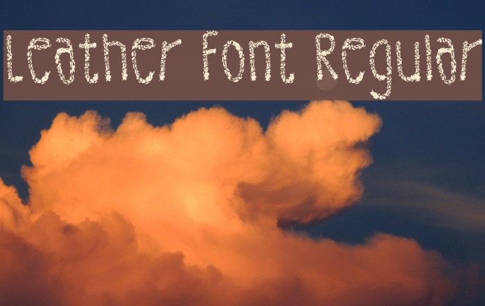 Leather Font Regular Font examples