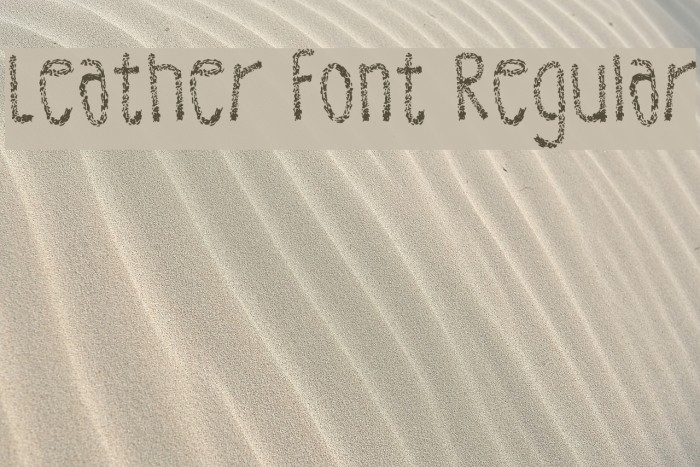 Leather Font Regular Font examples