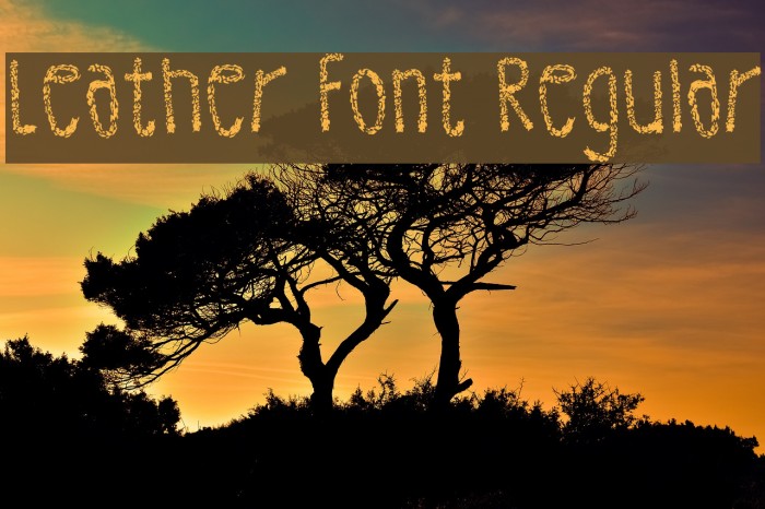 Leather Font Regular Font examples