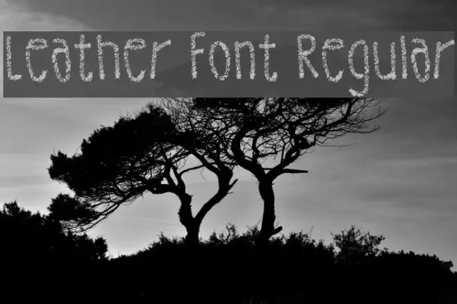 Leather Font Regular Example 3