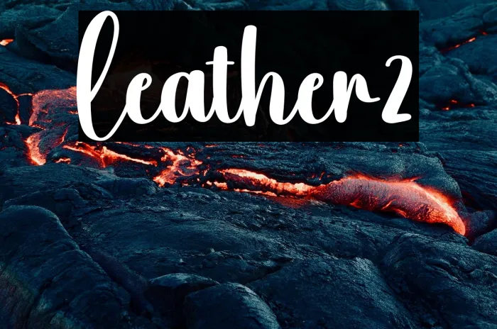 Leather2 Example 1