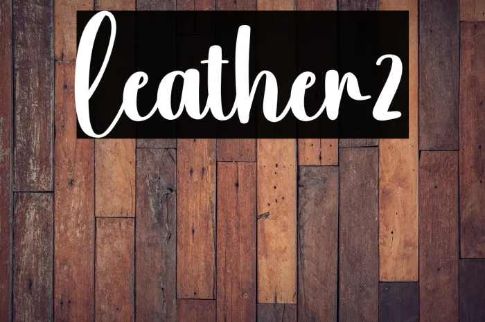 Leather2 Example 2