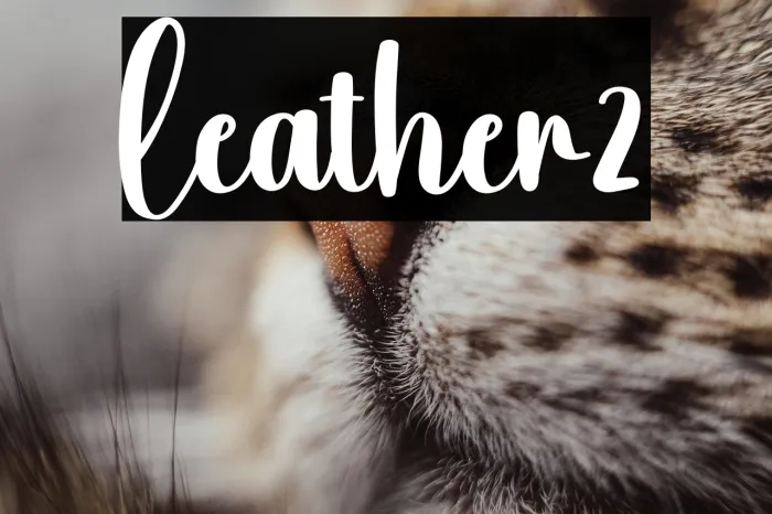 Leather2 Example 3