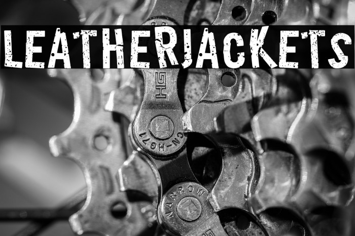 LeatherJackets Example 1