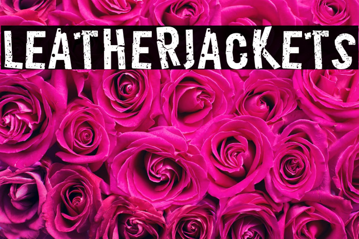 LeatherJackets Example 3