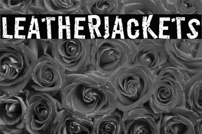 LeatherJackets Example 3
