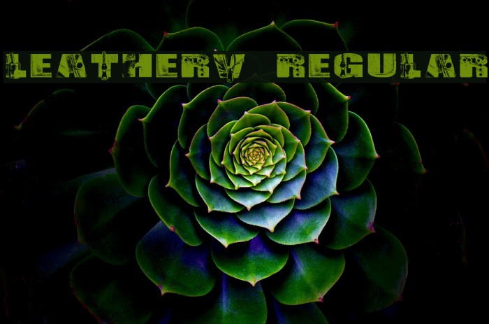 LeatherV2 Regular Example 2