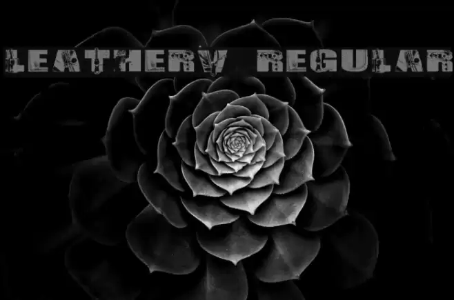 LeatherV2 Regular Font examples