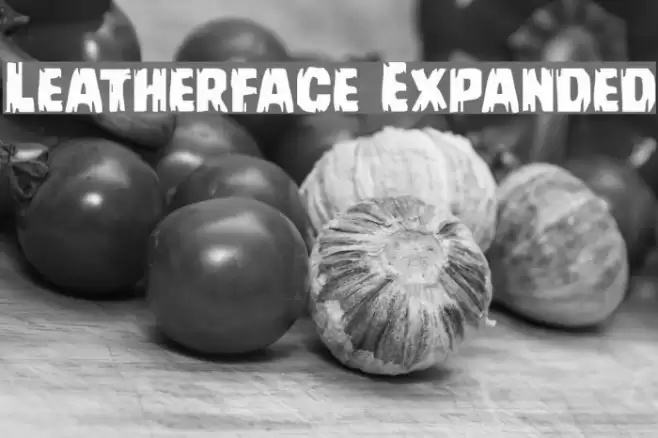 Leatherface Expanded Font examples