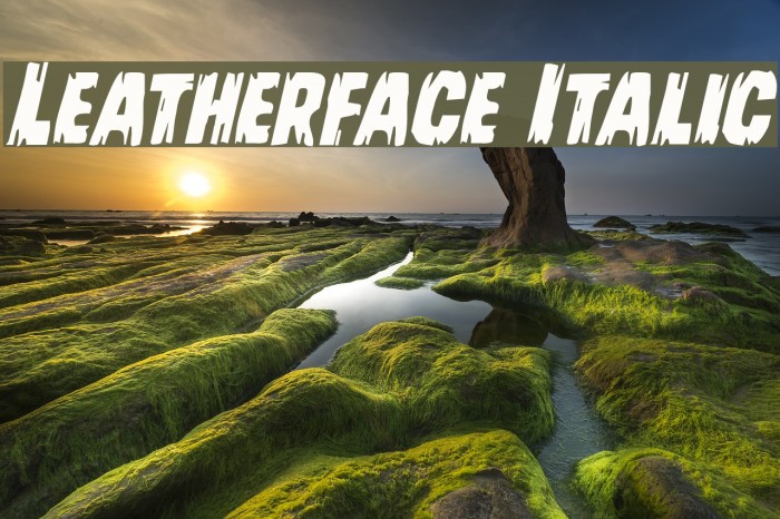 Leatherface Italic Font examples