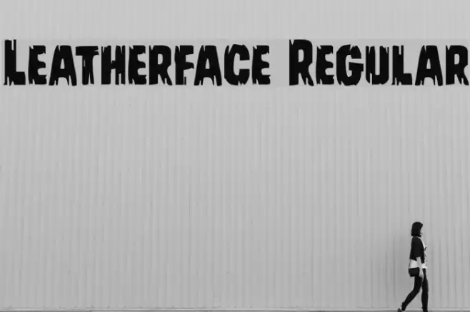 Leatherface Regular Example 2
