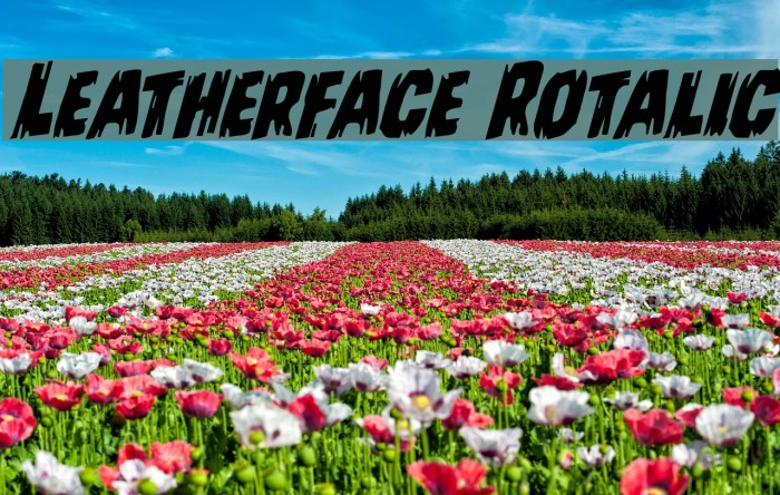 Leatherface Rotalic Font examples