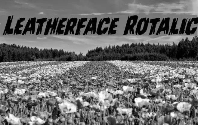 Leatherface Rotalic Example 1