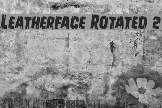 Leatherface Rotated 2 Example 1