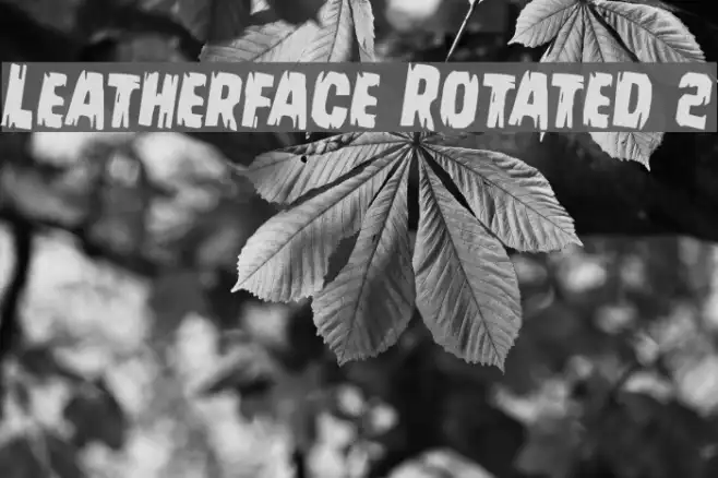 Leatherface Rotated 2 Example 3