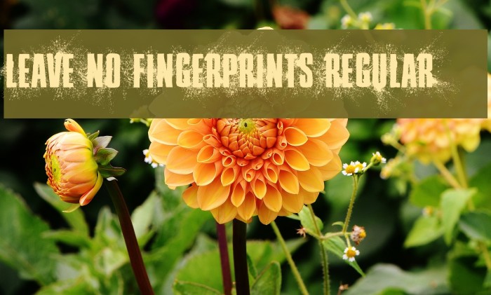 Leave No Fingerprints Regular Font examples
