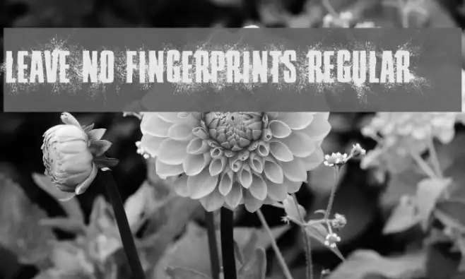 Leave No Fingerprints Regular Example 1