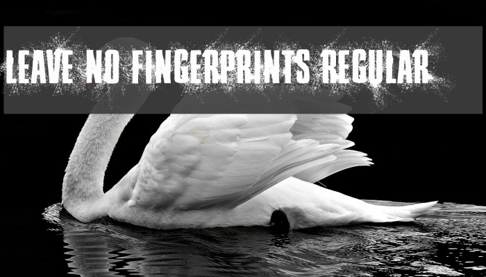 Leave No Fingerprints Regular Font examples