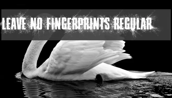 Leave No Fingerprints Regular Example 2