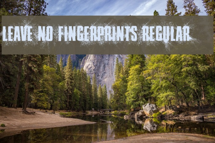 Leave No Fingerprints Regular Font examples