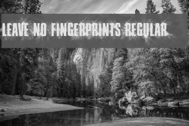 Leave No Fingerprints Regular Example 3