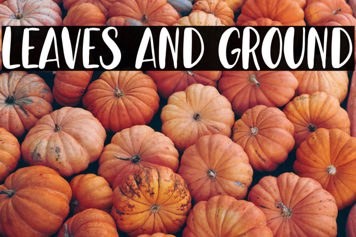 Leaves And Ground Example 3