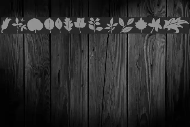 Leaves Font examples