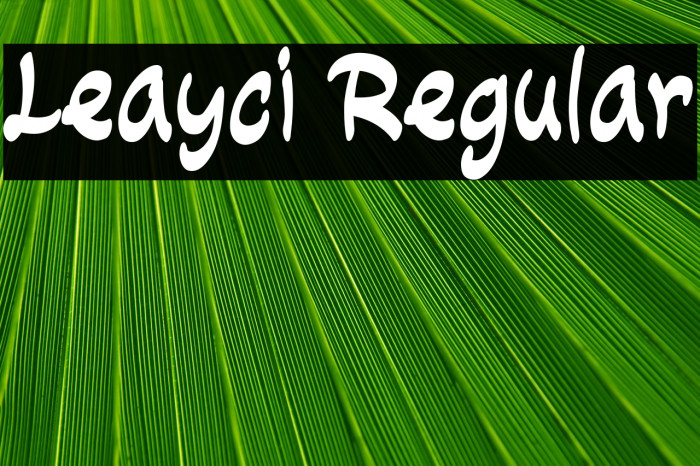 Leayci Regular Example 1