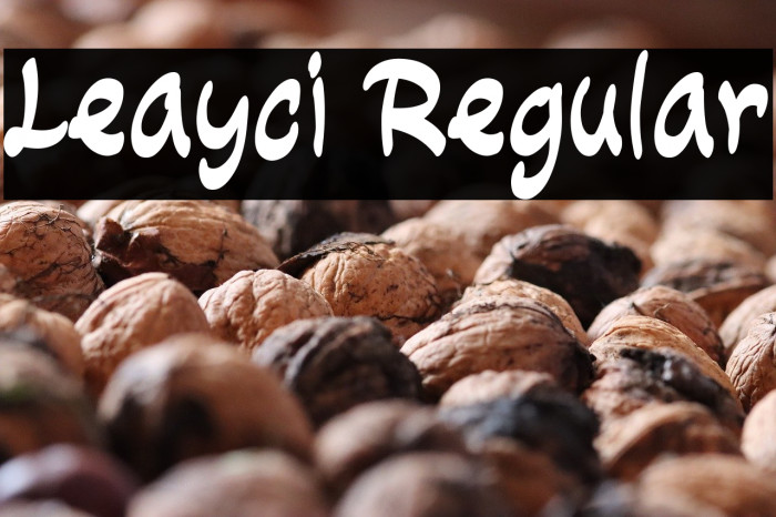 Leayci Regular Example 2