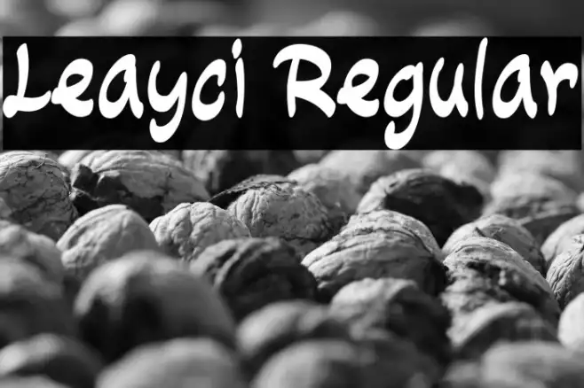 Leayci Regular Example 2