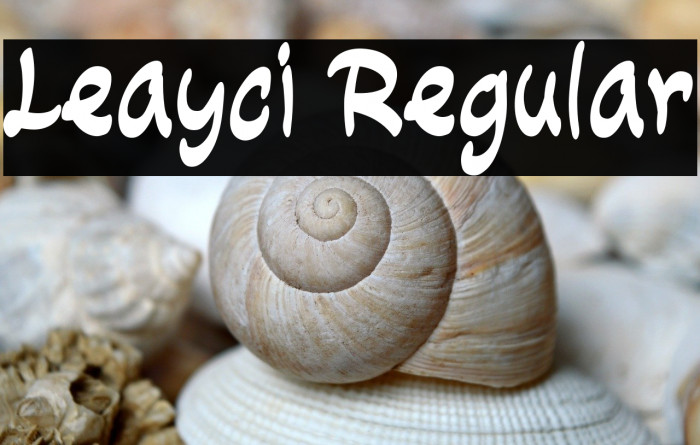 Leayci Regular Example 3